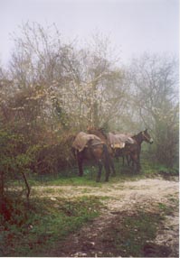 Meritato riposo parte seconda