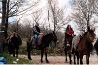 L'escursione con i muli in Val Nerina