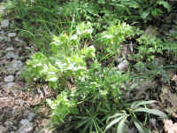 DSCN2705.JPG (269857 byte)