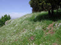 Dscn2692.jpg (270076 byte)