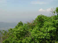Dscn2694.jpg (195783 byte)