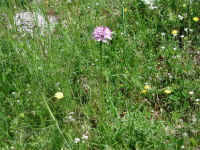 Dscn2695.jpg (356417 byte)
