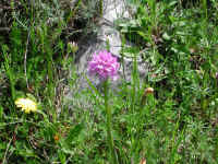 Dscn2696.jpg (301308 byte)