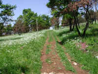 Dscn2697.jpg (349053 byte)
