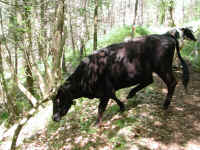 Dscn2713.jpg (253115 byte)