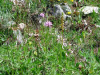 Dscn2715.jpg (357456 byte)