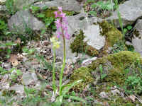 Dscn2718.jpg (302442 byte)