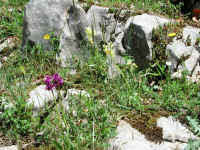 Dscn2719.jpg (371004 byte)
