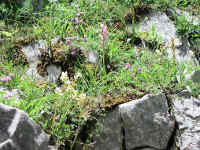 Dscn2720.jpg (373141 byte)