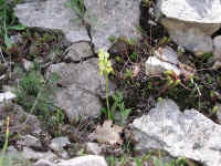 Dscn2721.jpg (291435 byte)