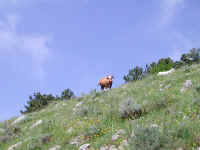 Dscn2727.jpg (188286 byte)