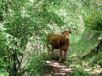 Dscn2728.jpg (326436 byte)