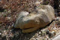 005-la-roccia-che-dorme.jpeg (147435 byte)