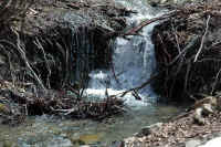010-una-robusta-cascata.jpeg (151729 byte)