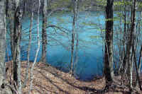 014-i-colori-del-lago.jpeg (166862 byte)