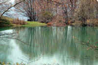 020-stupendo.jpeg (119522 byte)
