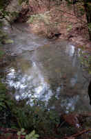 ritorno-lungo-il-fiume-34.jpg (190221 byte)