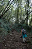 su-per-il-colle-29.jpg (260461 byte)