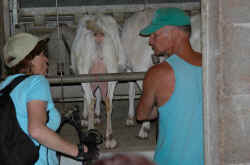 009_la_fattoria__autentica.jpg (85103 byte)