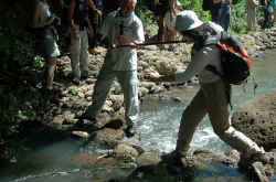 021_qualcuno_ha_fatto_il_tuffo.jpg (144722 byte)
