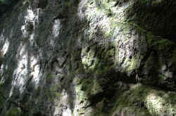 027_altre_scritte.jpg (144765 byte)