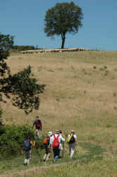 031_in_vista_del_gregge.jpg (239692 byte)