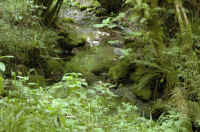 013.jpg (129629 byte)
