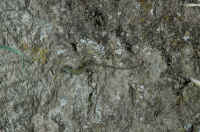 078.jpg (178811 byte)