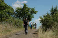 086.jpg (152663 byte)