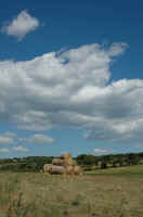 092.jpg (133606 byte)