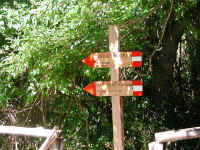 Dscn2836.jpg (379247 byte)