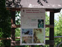 Dscn2838.jpg (261302 byte)