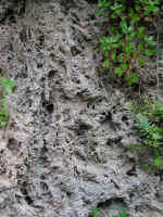 Dscn2750.jpg (287767 byte)