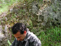 Dscn2754.jpg (355123 byte)