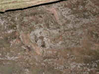 Dscn2757.jpg (229583 byte)