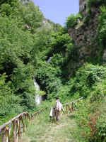 Dscn2758.jpg (354066 byte)