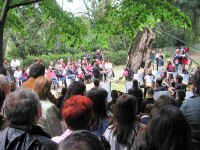 Dscn2663_.jpg (249976 byte)