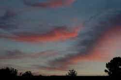 034_rosseggia_il_cielo_nel_parco.jpg (45256 byte)