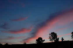 037_avanza_la_notte.jpg (46779 byte)