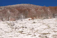 Sci a Forca d'Acero (009).JPG (2755116 byte)