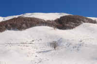Sci a Forca d'Acero (08).JPG (2479029 byte)