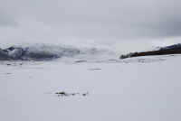 DSC_0059.JPG (1254698 byte)