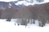 Dsc_0060.jpg (856987 byte)
