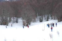 Dsc_0063.jpg (912857 byte)