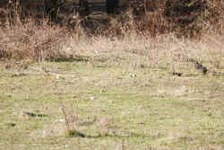 DSC_0154.JPG (2856053 byte)