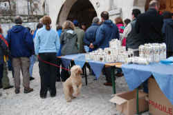 DSC_0664.JPG (2183938 byte)