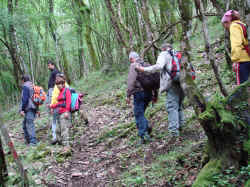 DSC03418.JPG (905449 byte)