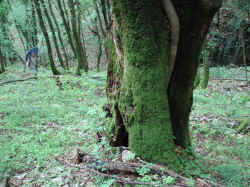 DSC03420.JPG (924822 byte)