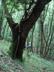 DSC03421.JPG (950453 byte)