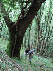 DSC03423.JPG (962150 byte)